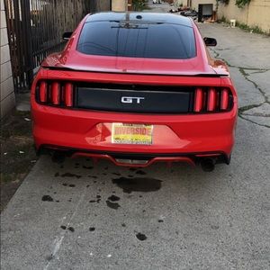 Meet your Posher, Felipe